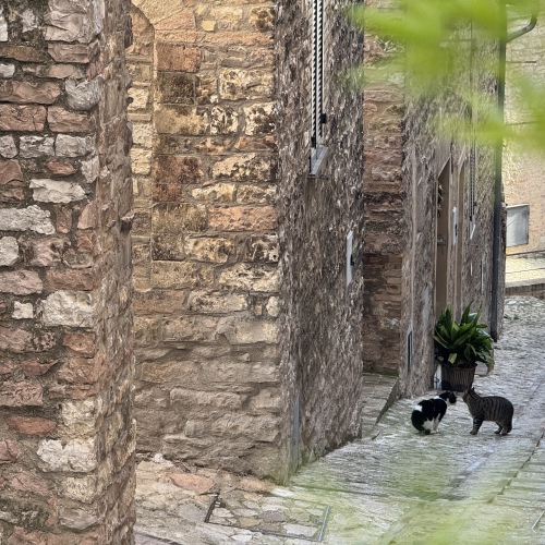 2025. gada albumu apskats un mūzikas jaunumi 