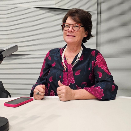 Signe Bāliņa: Vislielākais risks dažādām krāpšanām ir pēdējās dienās pirms vēlēšanām