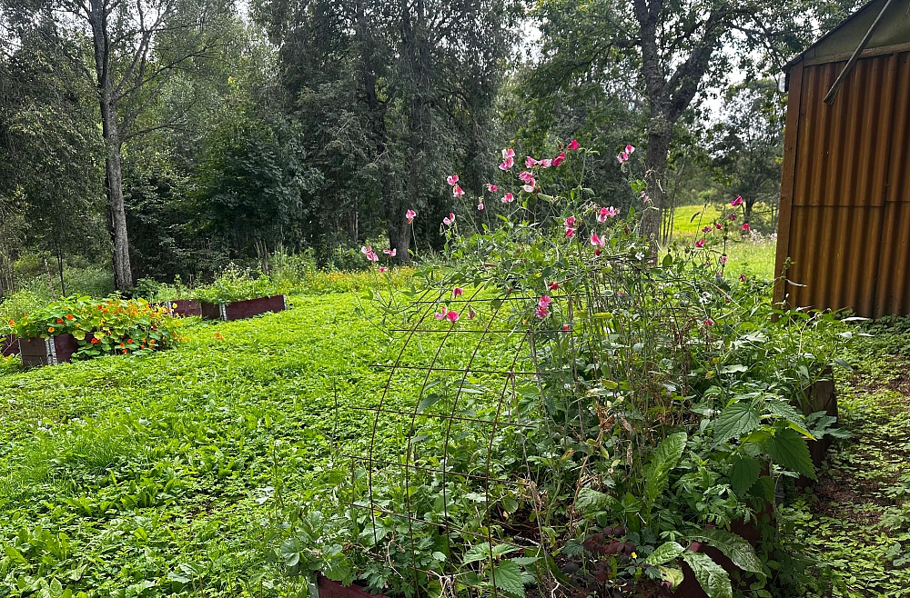 Monta Vecozola, dzīve laukos