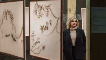 Выставка Марии Гвардейцевой "Горькие травы"