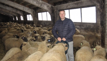 Konkursa "Sējējs" laureāts Gatis Atmats audzē aitas un uzcēlis gaļas cehu