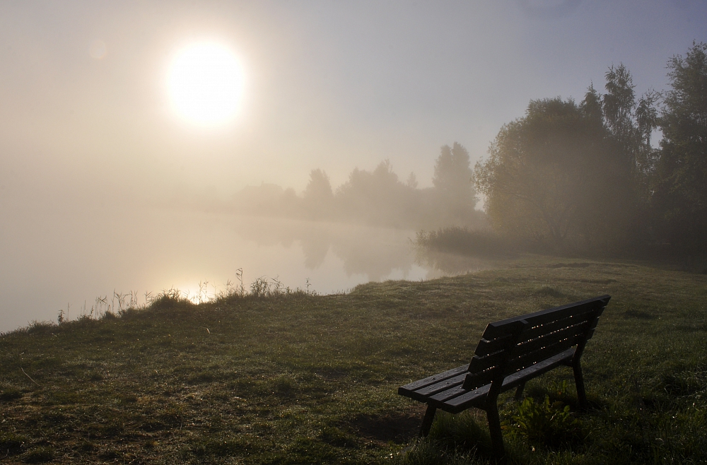 Изабелла, повелительница полей