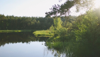 Latvijas ezeru ekosistēma