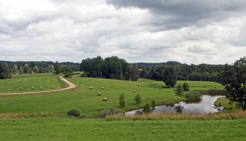 Latvijā meklē inovatīvus risinājumus lauksaimniecībā un mežsaimniecībā
