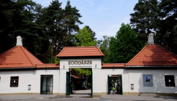 Rīgas zooloģiskais dārzs plāno izveidot Āfrikas savannas ekspozīciju