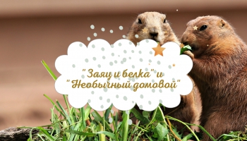 Сказки "Заяц и белка" и "Необычный домовой"