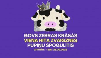#516 | Govs zebras krāsās, Viena hita zvaigznes, Pupiņu spogulītis