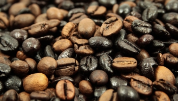Koffeco: полезные продукты из кофейных отходов
