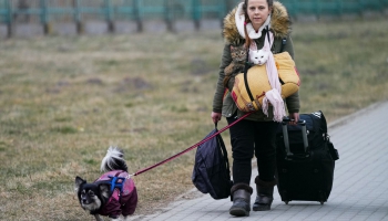 Bēgļu gaitās no Ukrainas dodas arī mājdzīvnieki: iespējas palīdzēt Latvijā