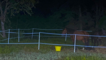 Trešā persona. Stunda kopā ar Rolandu Pēterkopu