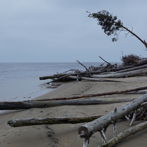 Jauna mūzika un saruna ar Māri Švernu