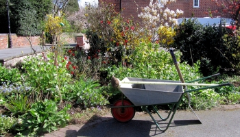 Pavasara dārza darbi - pagaidām var rušināties siltumnīcā un darboties augļu dārzā