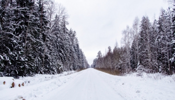 Meža malas noslēpumi. Saruna ar L.Gerru-Inohosu