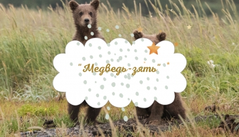 Латышская народная сказка "Медведь-зять"