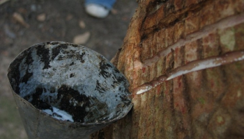 CFMB#401 - Ziema Skan