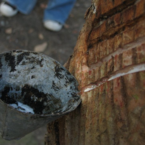 CFMB#401 - Ziema Skan