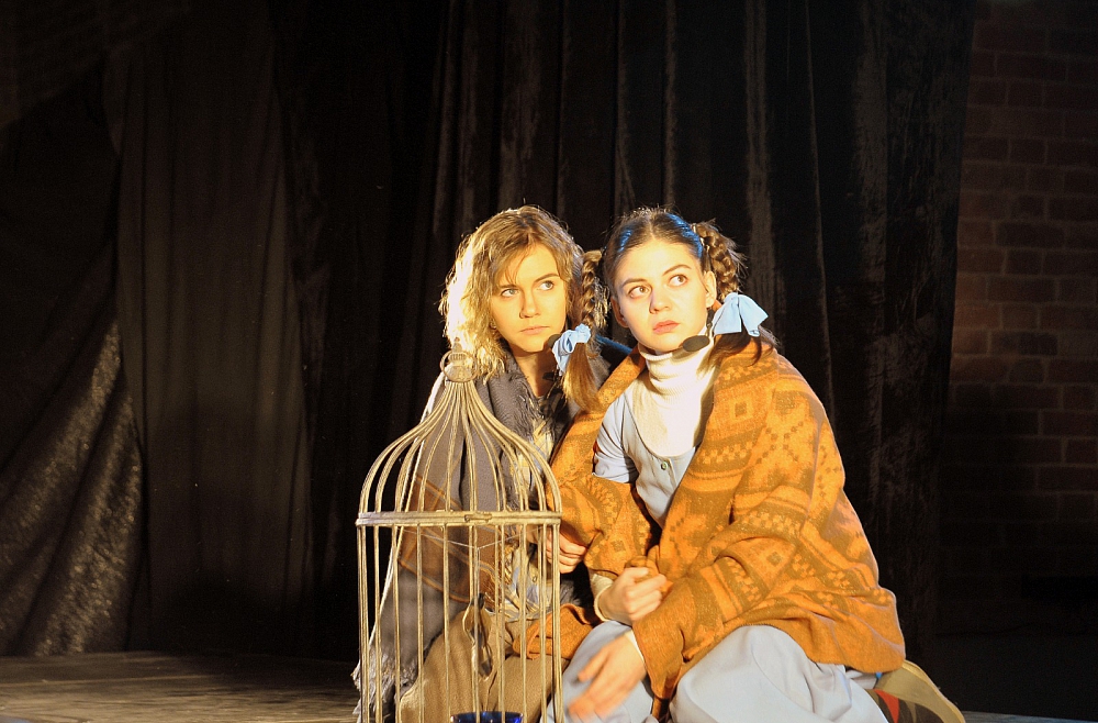 gailis zilo putnu meklējot