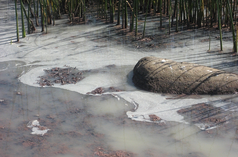 atv-faili-salacgrivas-notekudeni