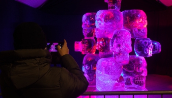 80 тонн льда и художники со всего мира. В Елгаве прошел фестиваль ледовых скульптур