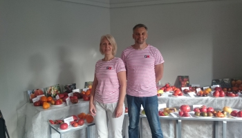 Lielās ogas - tomāti. Latvijas tomātu audzētāji iepazīstina ar jaunumiem savās kolekcijās