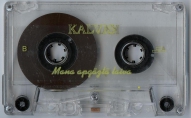 kalvis