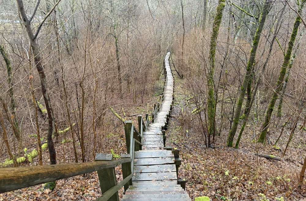 daba pargajiens sports