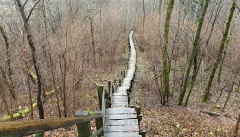 Garajās brīvdienas ir vērts laiku atvēlēt arī pastaigām dabā