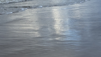 Četrpadsmit skaņdarbu pieraksti no 2025. gada