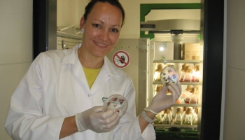 Uzņēmums “Alternative Plants” laboratorijā audzē unikālas izejvielas kosmētikas nozarei