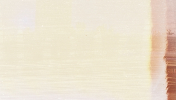 Slapjie kājslauķi. Stunda kopā ar Rūdolfu Dankfeldu