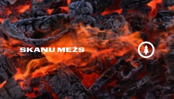 Skaņu Mežs (24062025) ar Elīnu Gestu
