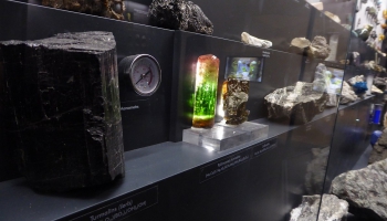 Dabas muzejā tapušas jaunas mineraloģijas, botānikas un mikoloģijas izstādes