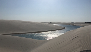 CFMB#395 - Rudens Skan