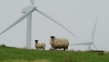 Nozare: Attīstīt vēja parkus palīdzēs nodeva pašvaldībām, ne ieglākas prasības