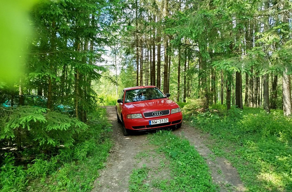 Жанна Вагале