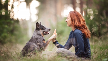 Vai suns var padarīt cilvēku veselīgāku, kustīgāku un laimīgāku?