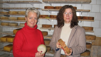 Uzņēmumā "Soira" top 20 veidu amatniecības sieri, tie augsti novērtēti Lielbritānijā