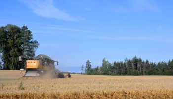 Mazajām lauku saimniecībām piešķir valsts atbalstu 