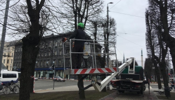 Rīga zaudē zaļo krāsu: kādas ir cerības situāciju mainīt