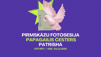#556 | Pirmskāzu fotosesija, Papagailis Česters, Patrisha