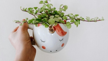 Airisa Mērdoka "Vienradzis"