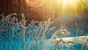 Glābēji un mediķi aicina aukstajā laikā parūpēties par tiem, kuri paši nevar