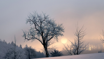 Pagriez Sauli ziemas saulgriežos