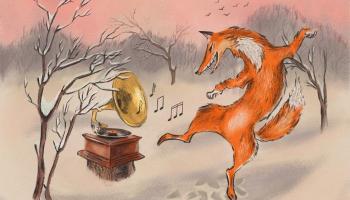 Naktsāķis 28.11.2025