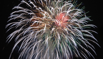 Naktsāķis 31.12.2025