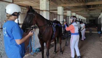 Rikšotāju zirgu sacensību “Latgales kauss” šogad paliek Ludzas novadā