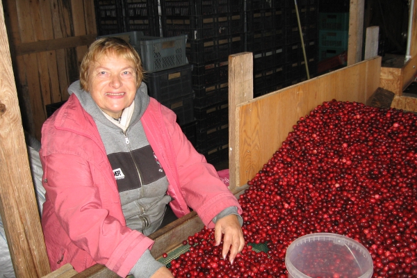 Stiprie stāsti