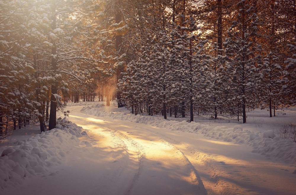 Ziema vilina doties ārā, bet kā sevi pasargāt no aukstuma?
