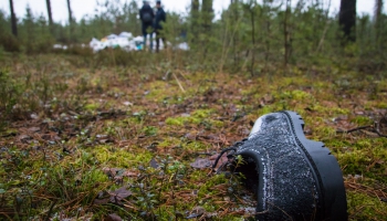 Meža dienu mēnesī rīdzinieki aicināti attīrīt Rīgas mežus