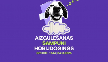 #544 | Aizgulēšanās, Šampūni, Hobijdogings